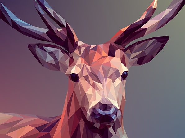 Personal Portfolio Images